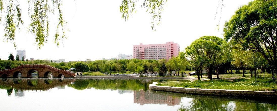 对照阅读如某条暂不可用